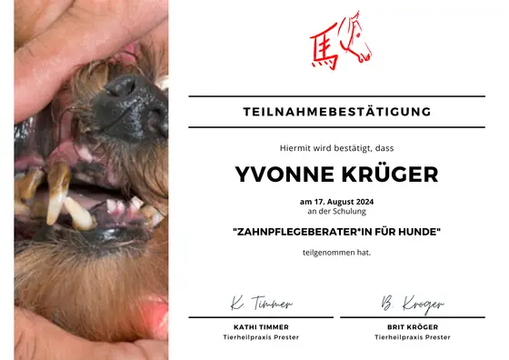 Zertifikat: Zahnpflegeberaterin für Hunde
